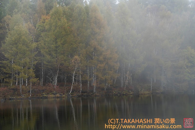 ../Images/7R251026 (211).jpg